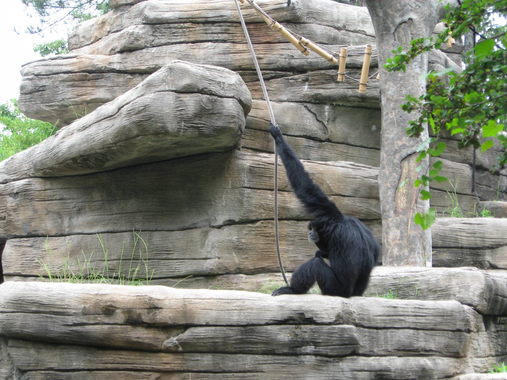 Riverbanks Zoo, Columbia, SC