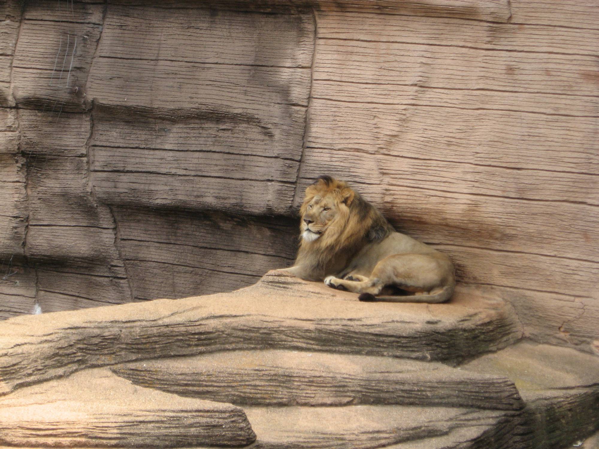 Riverbanks Zoo, Columbia, SC