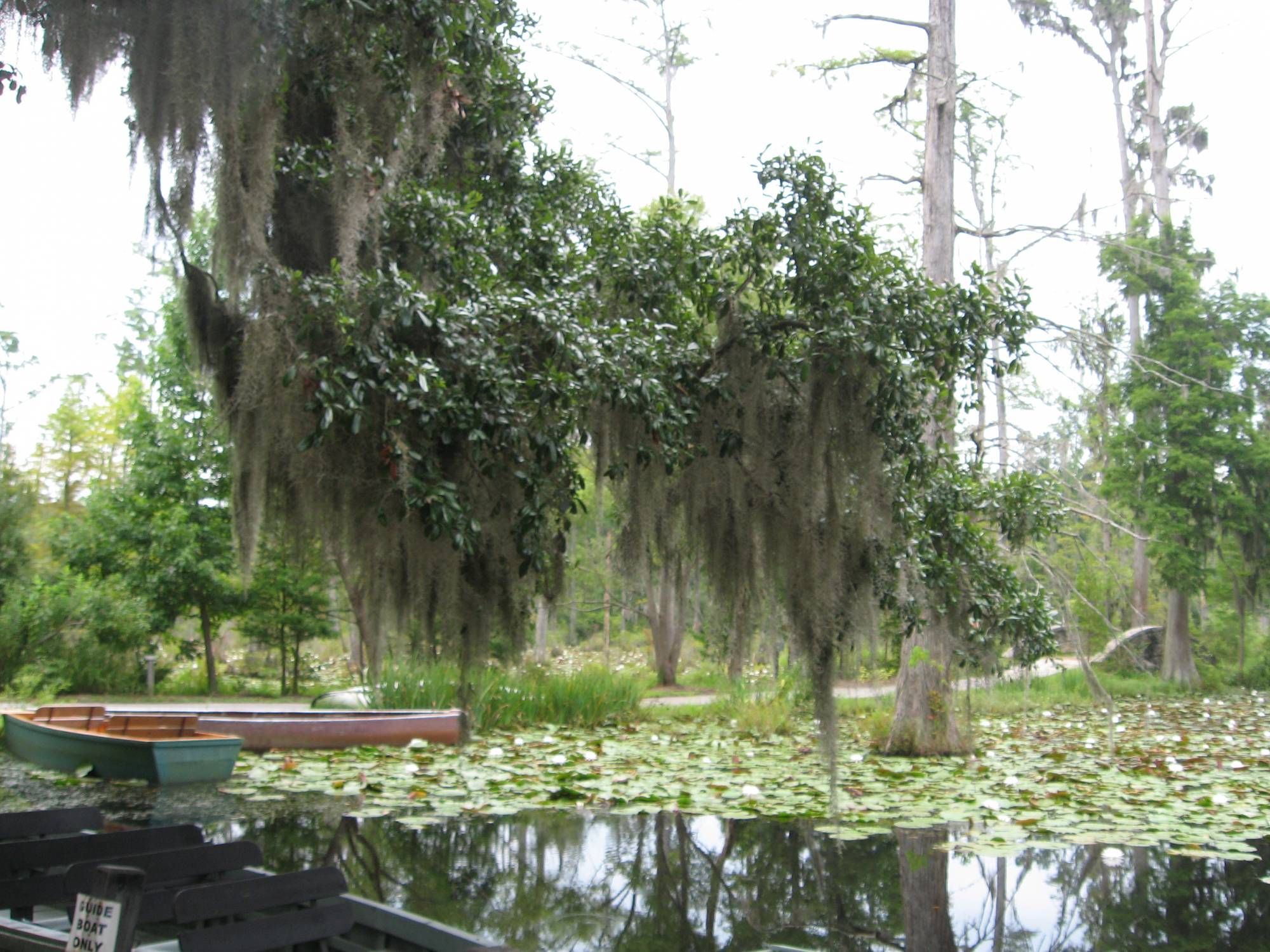 Cypress Gardens, South Carolina