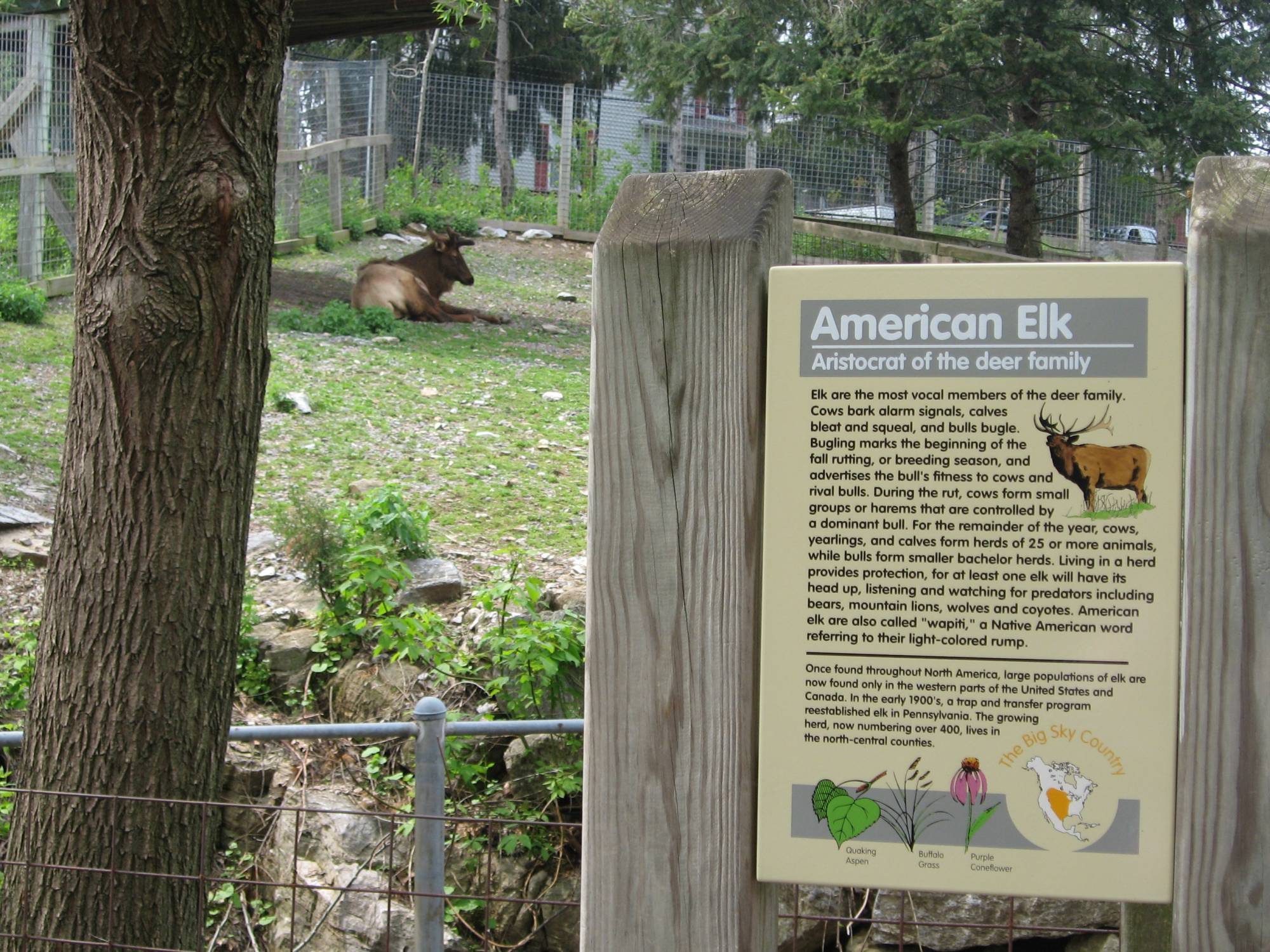 Hershey Park, Pennsylvania - ZooAmerica