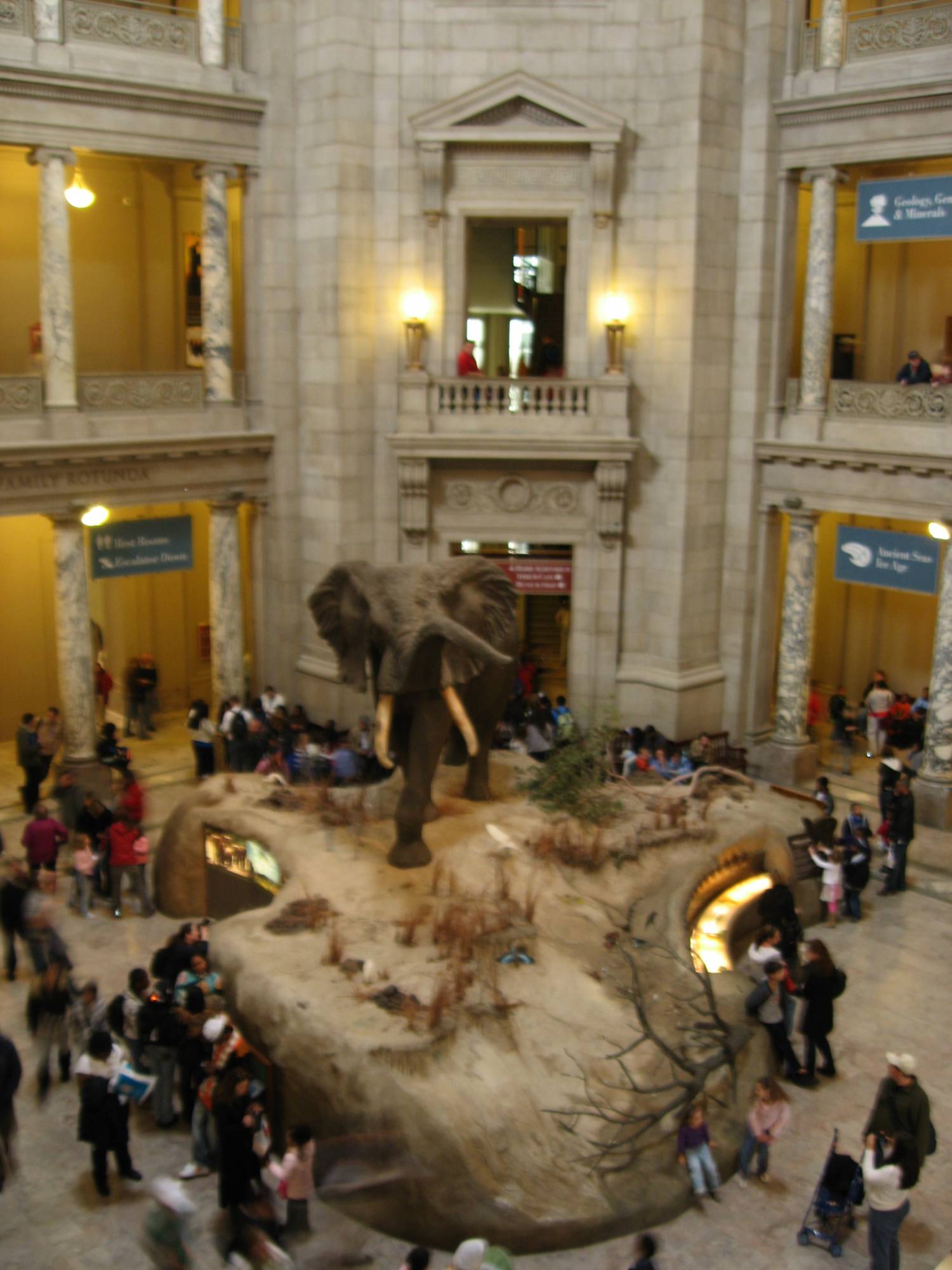 Washington D.C. - Museum of Natural History