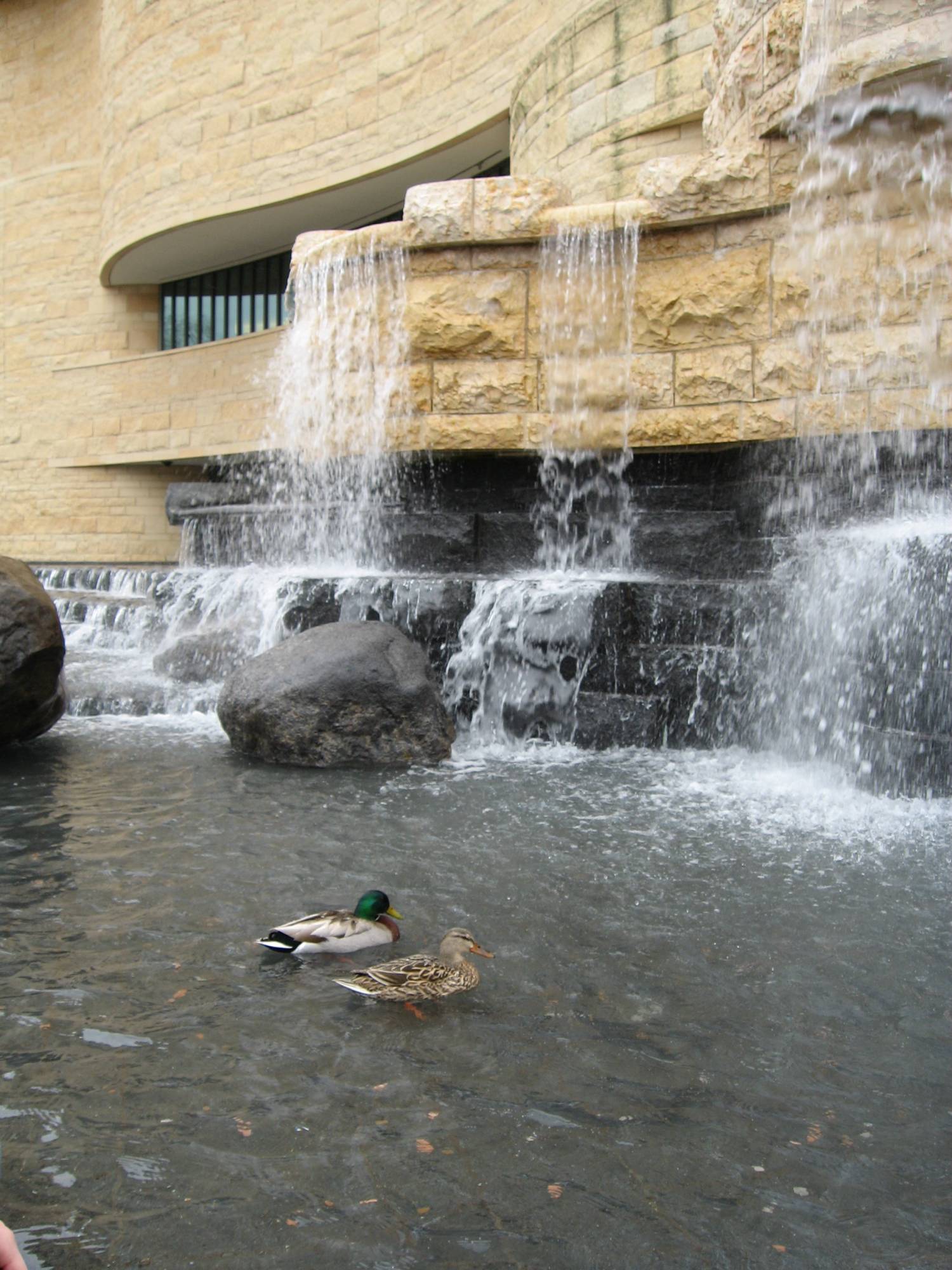 Washington D.C. - American Indian Museum