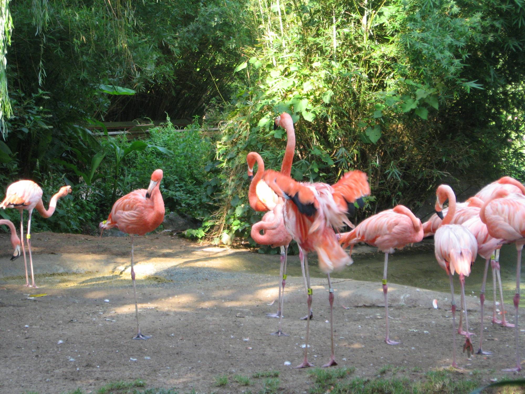 Riverbanks Zoo, Columbia, SC