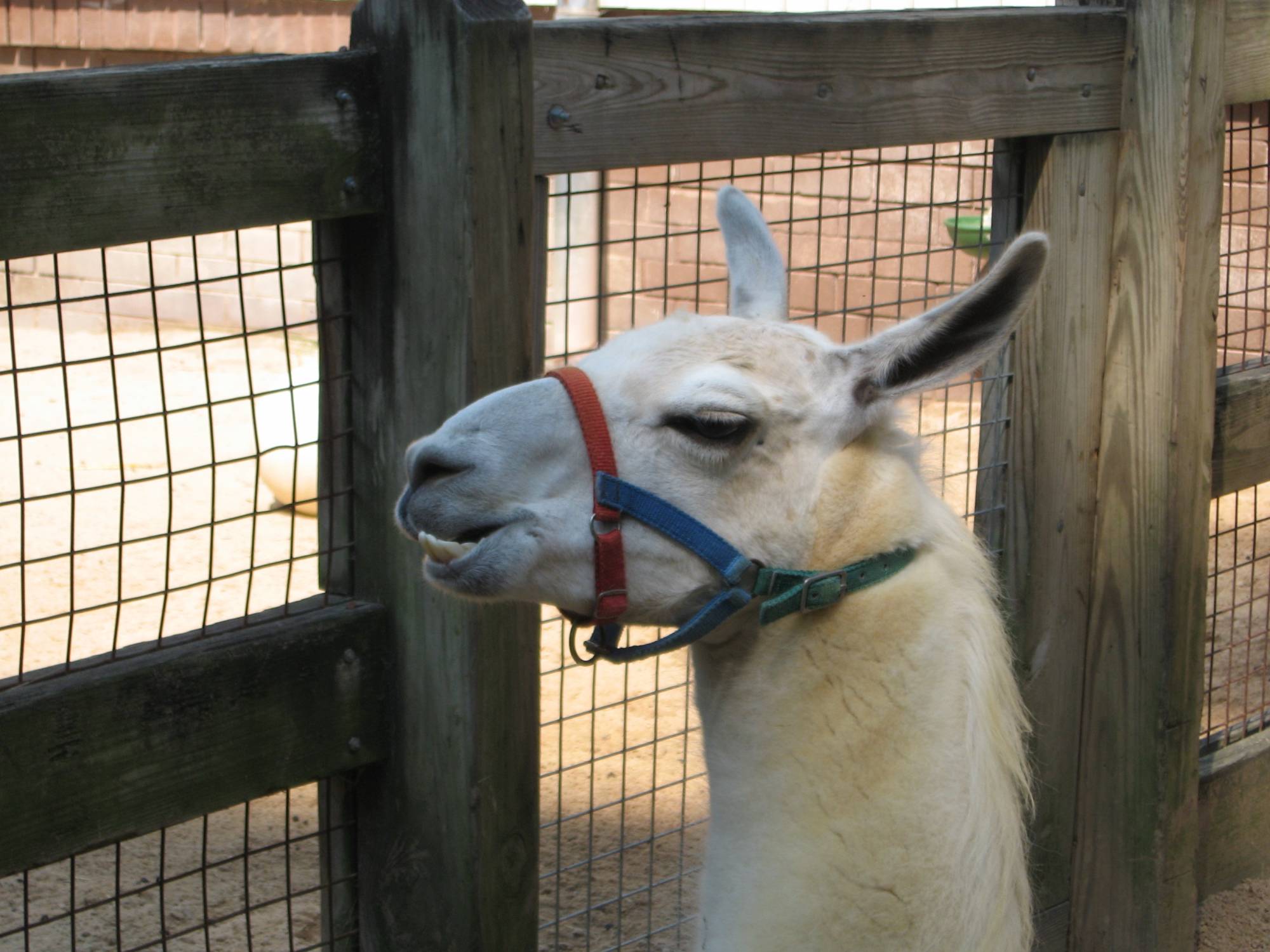 Riverbanks Zoo, Columbia, SC