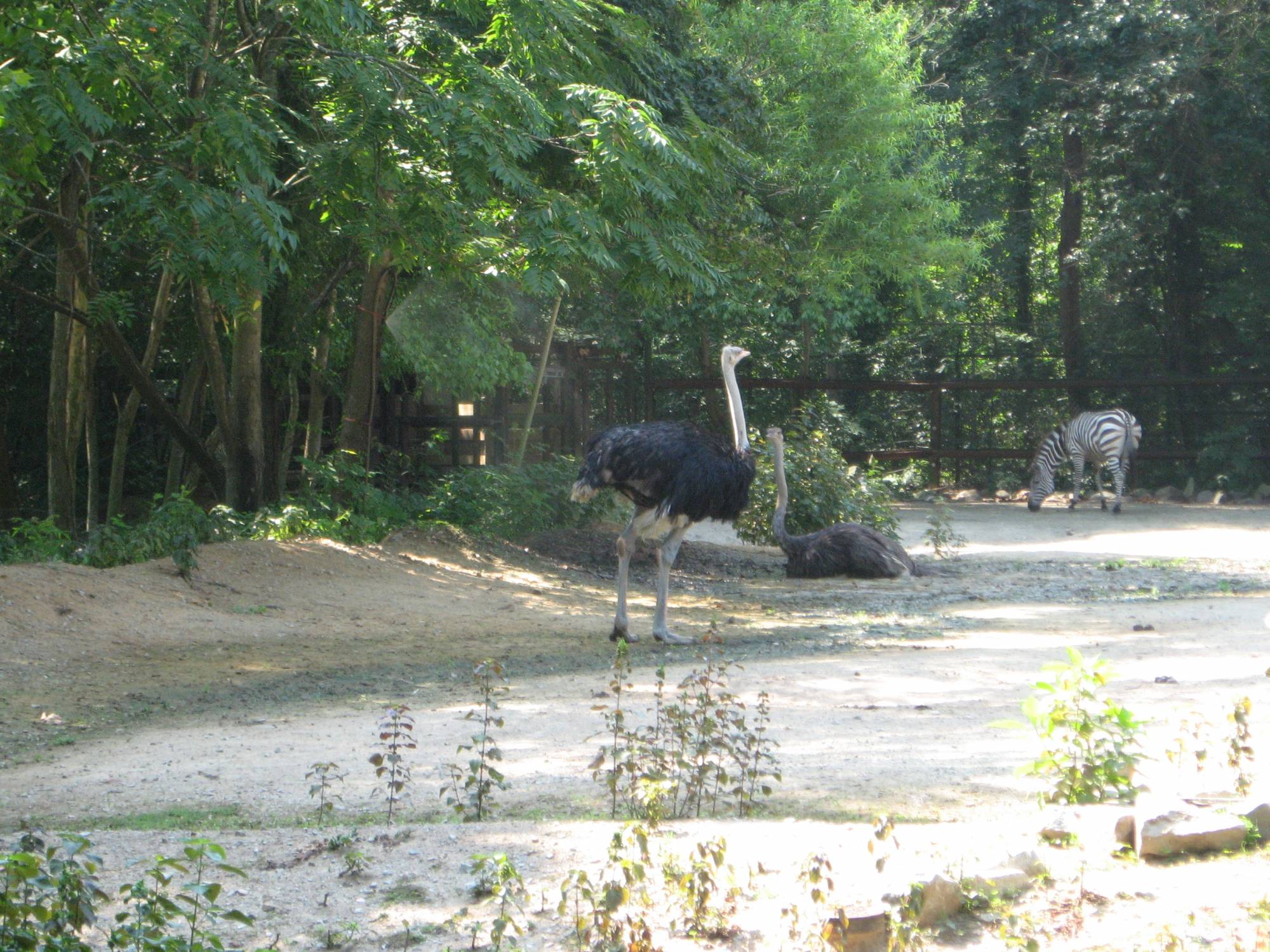 Riverbanks Zoo, Columbia, SC