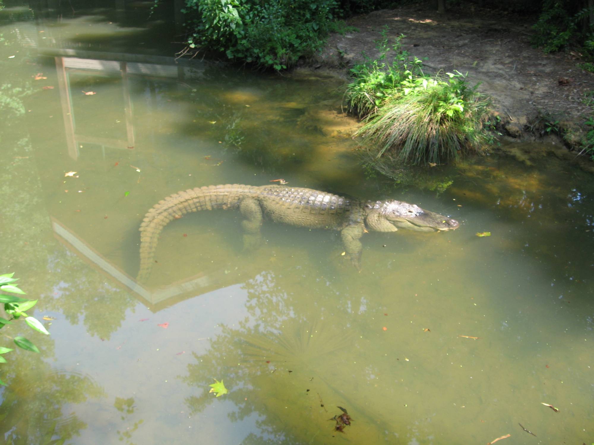 Riverbanks Zoo, Columbia, SC