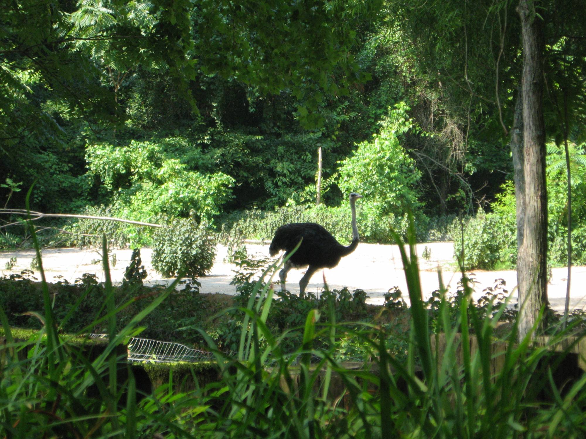 Riverbanks Zoo, Columbia, SC