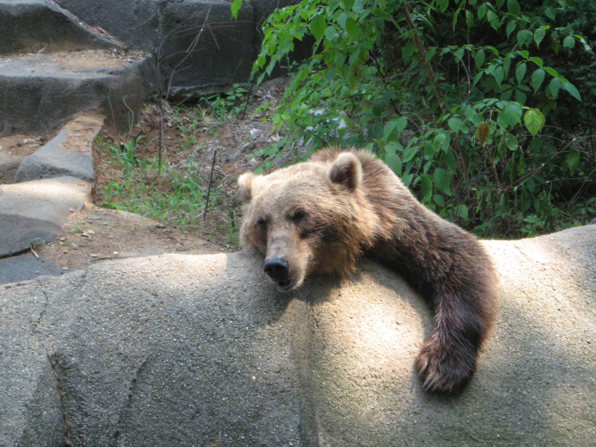 Riverbanks Zoo, Columbia, SC