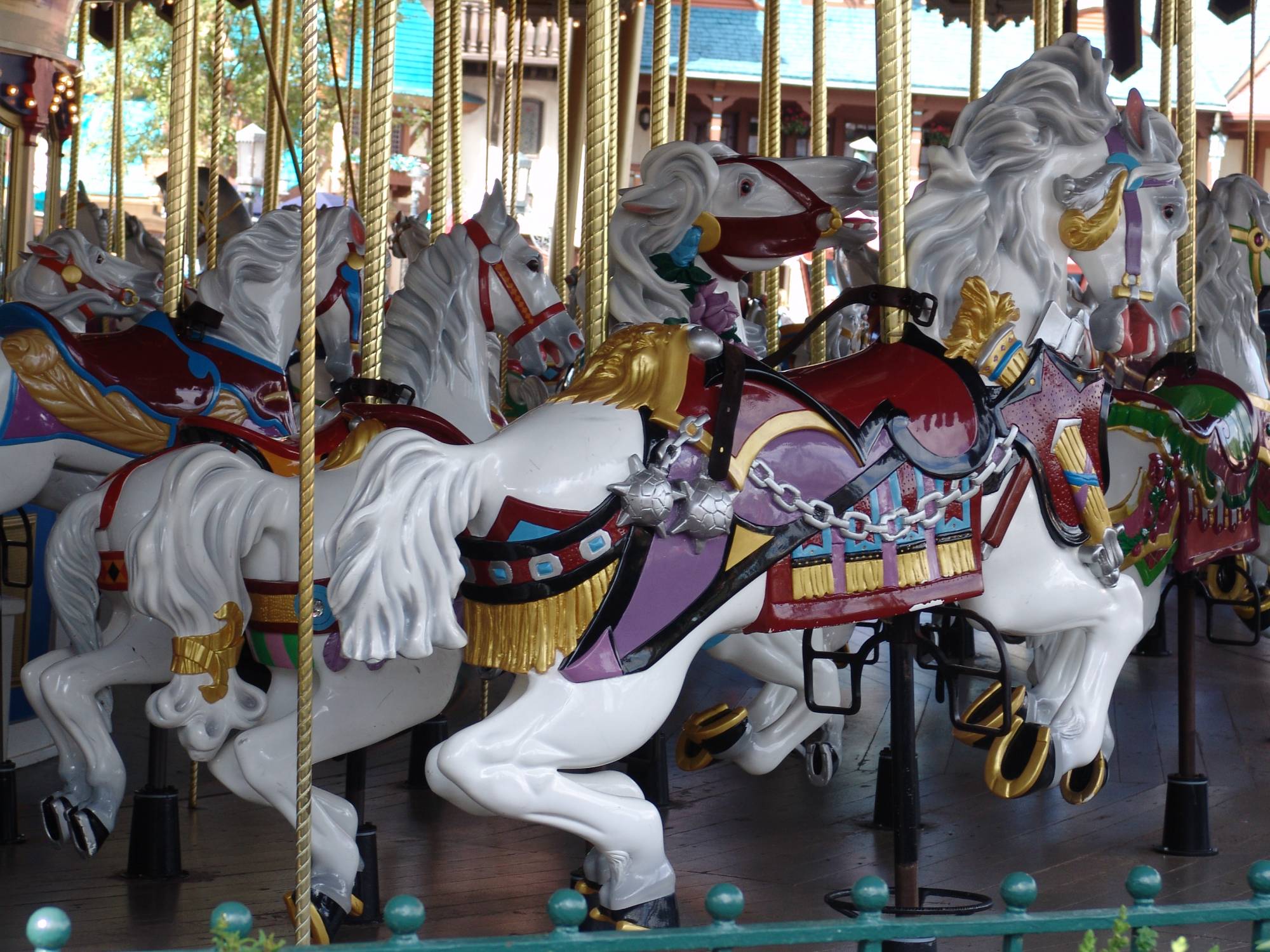 Magic Kingdom - Cinderella's horse on the Carrousel
