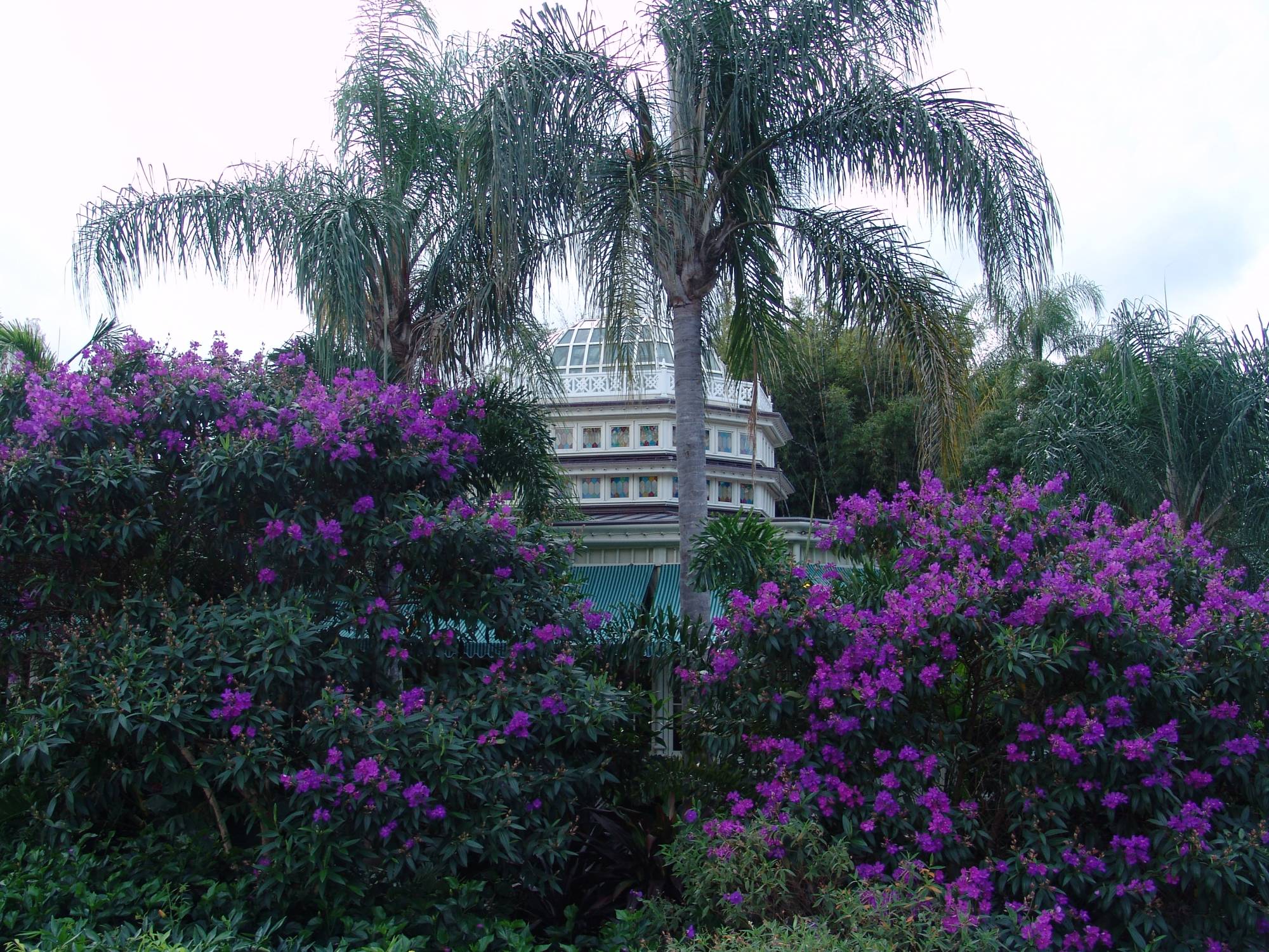 Magic Kingdom - Crystal Palace