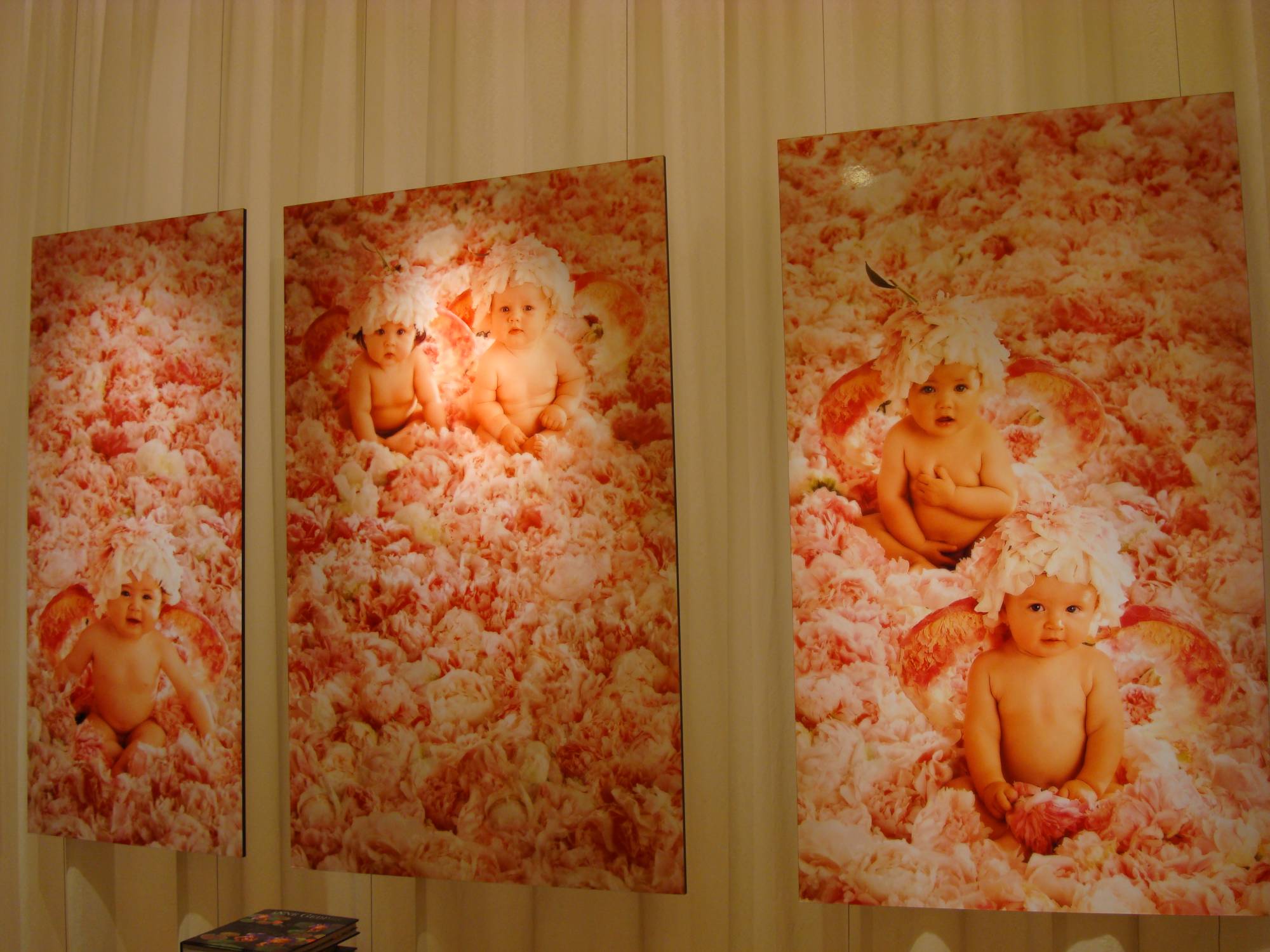 Downtown Disney - Anne Geddes